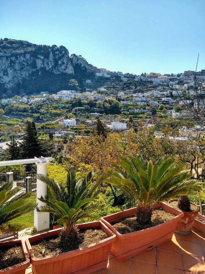 Casa Paolina - Casa Vacanze Capri Luaran gambar
