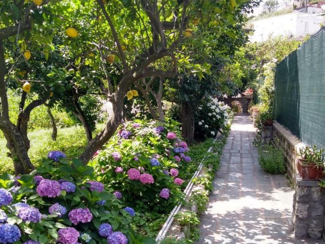 Casa Paolina - Casa Vacanze Capri Luaran gambar